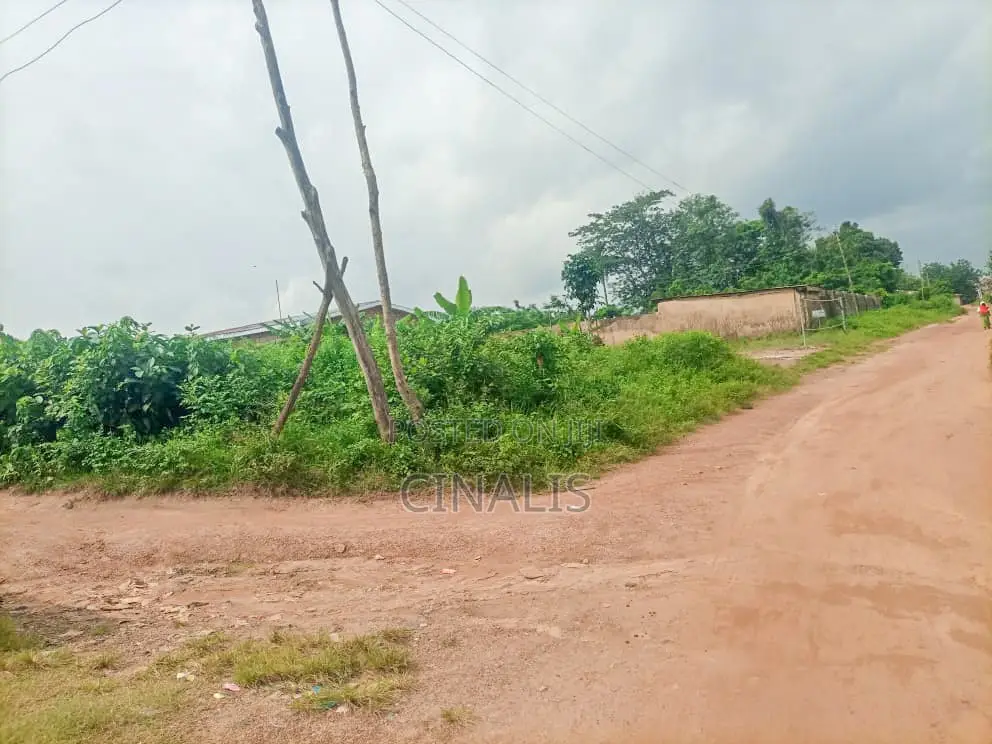 Mixed-Used Land