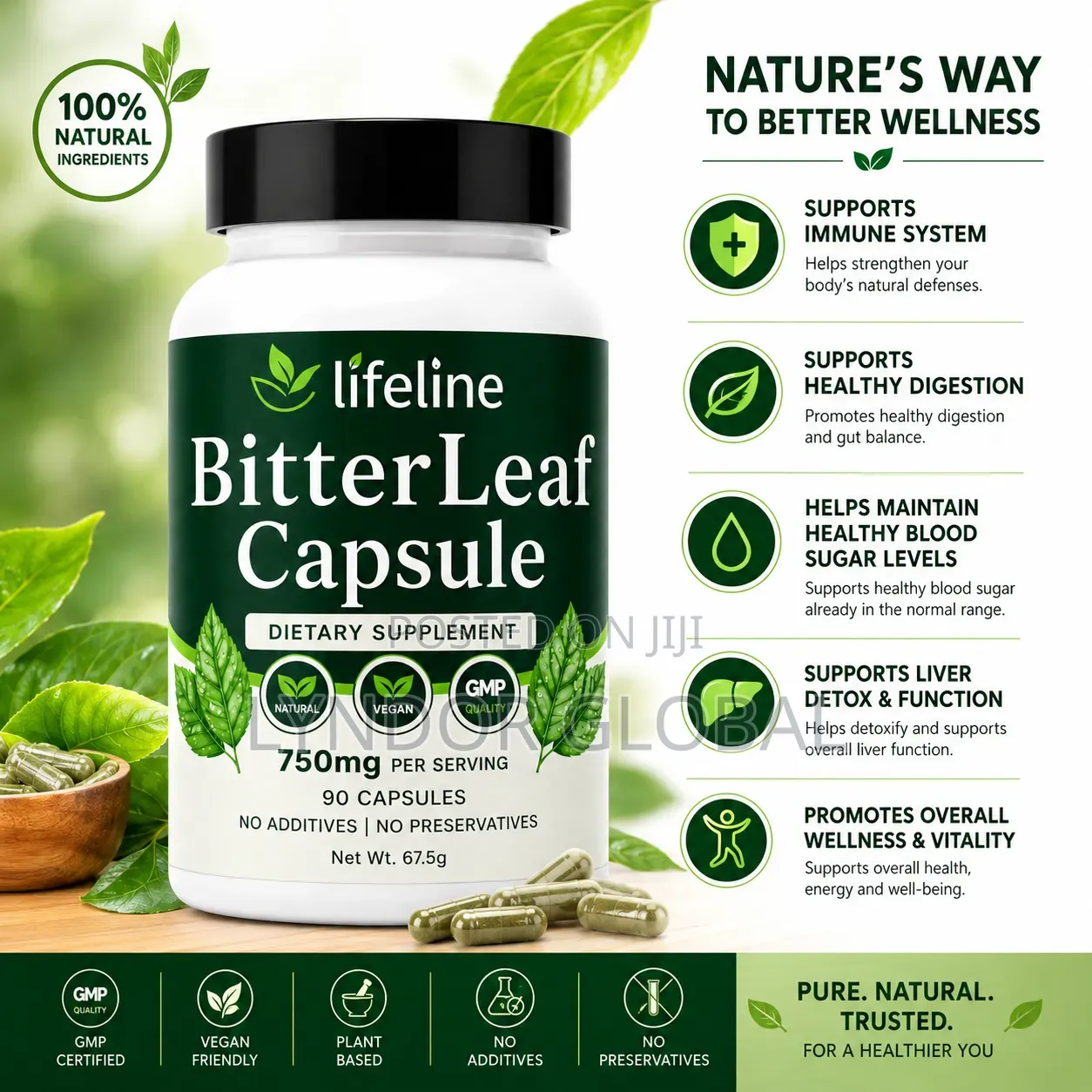 Bitter Leaf Capsule 750mg – 90 Capsules Natural Wellness Daily Vital