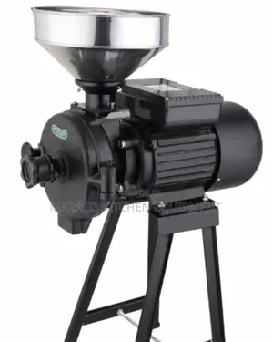 Wet and Dry Grinder