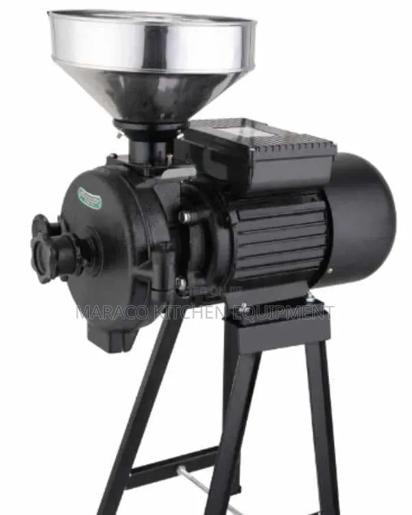 Wet and Dry Grinder