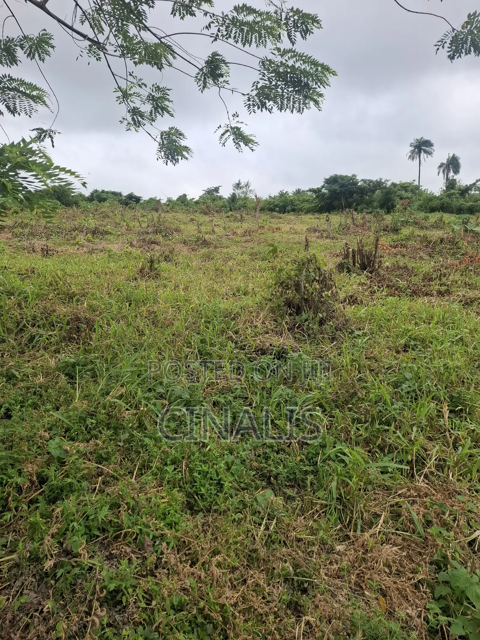 Residential Land With Registered Survey