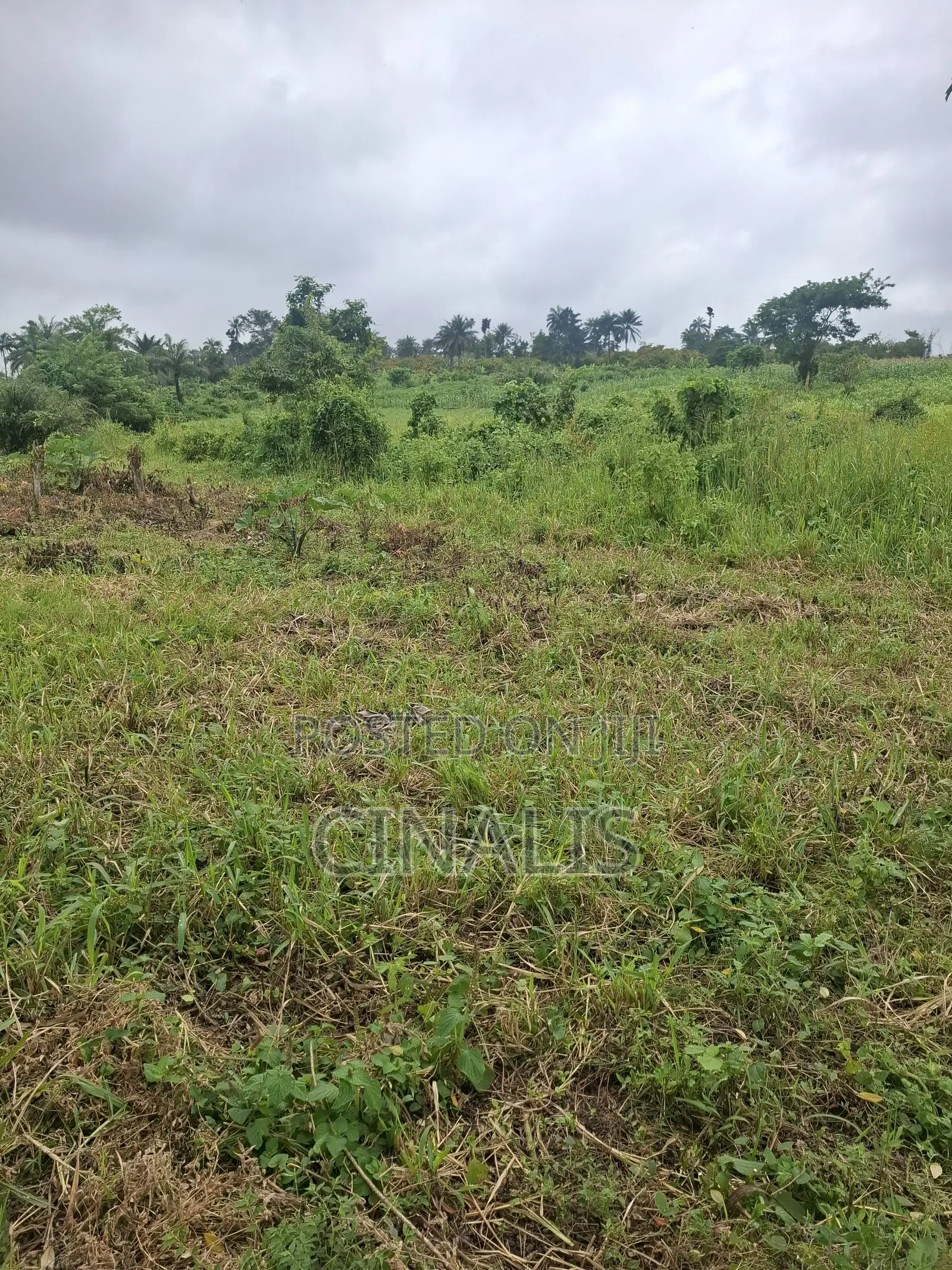 Residential Land With Registered Survey