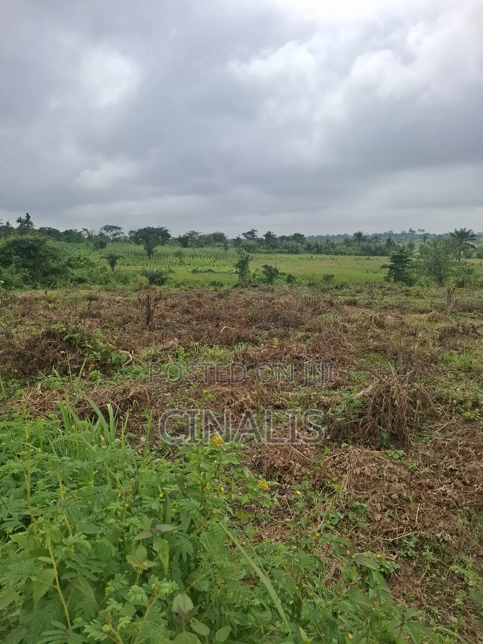 Mixed-Use Land With Deed of Assignment