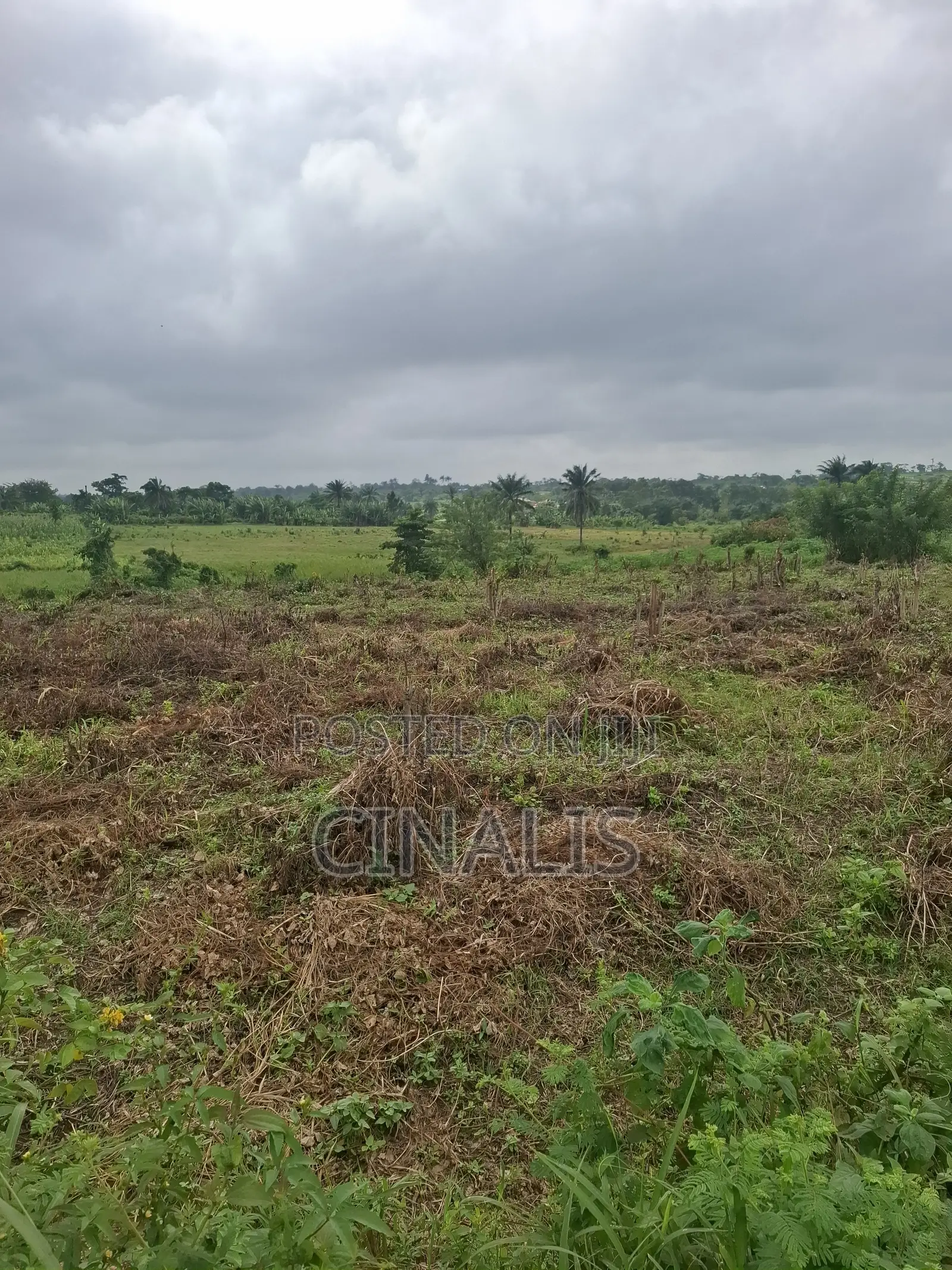Mixed-Use Land With Deed of Assignment