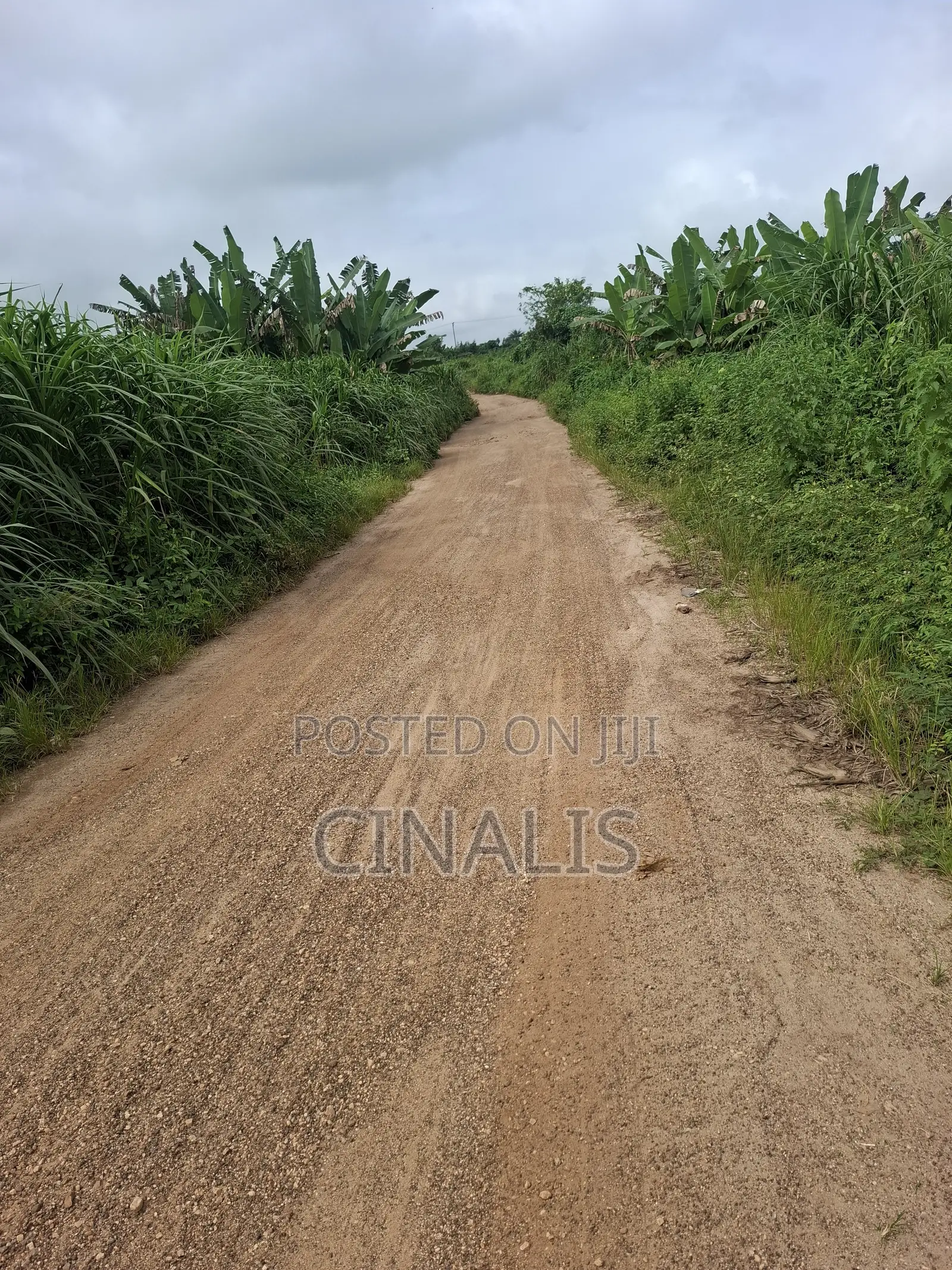 Mixed-Use Land With Deed of Assignment