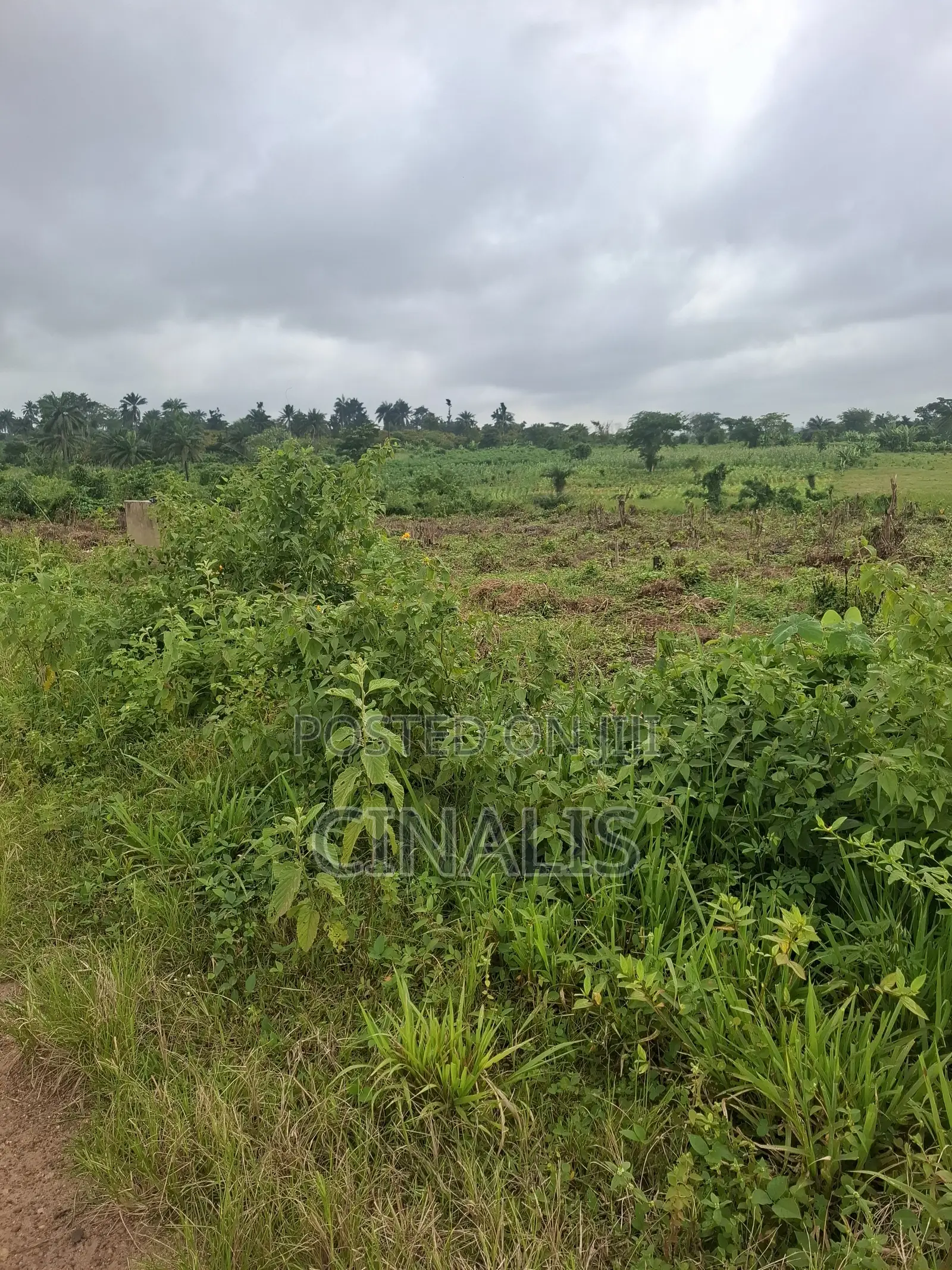 Mixed-Use Land With Deed of Assignment