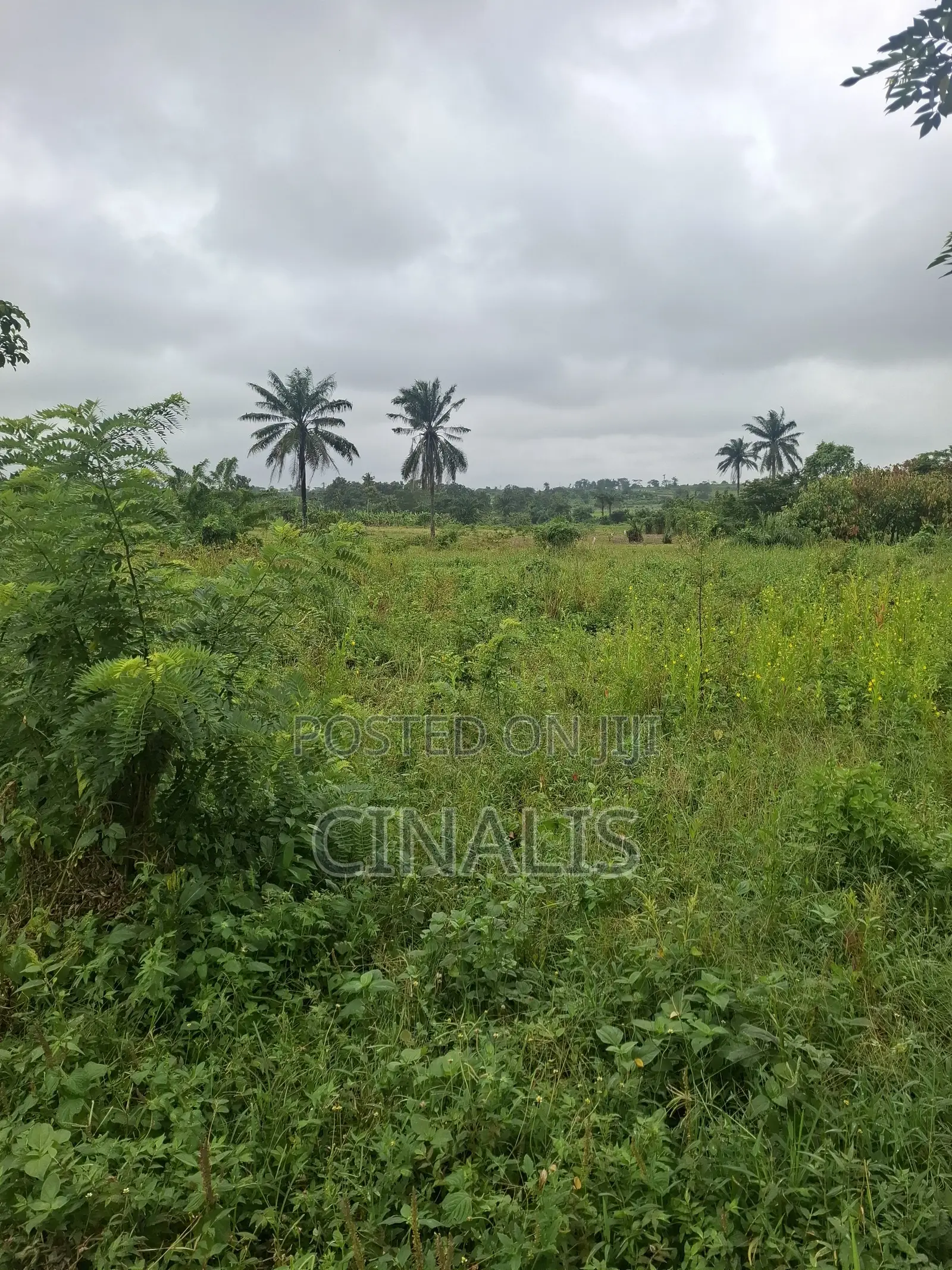 Residential Land With Survey and Deed