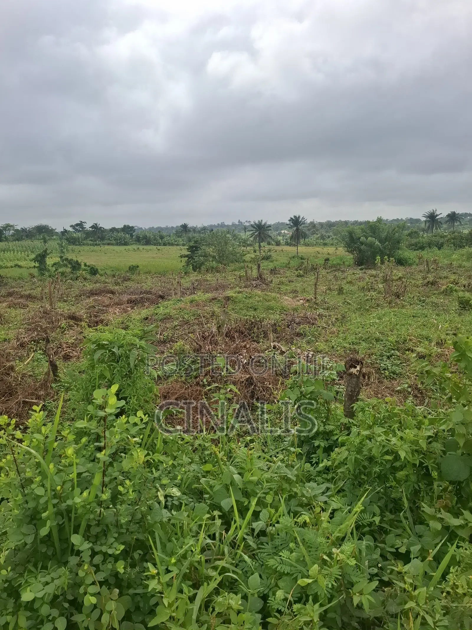 Residential Land With Survey and Deed