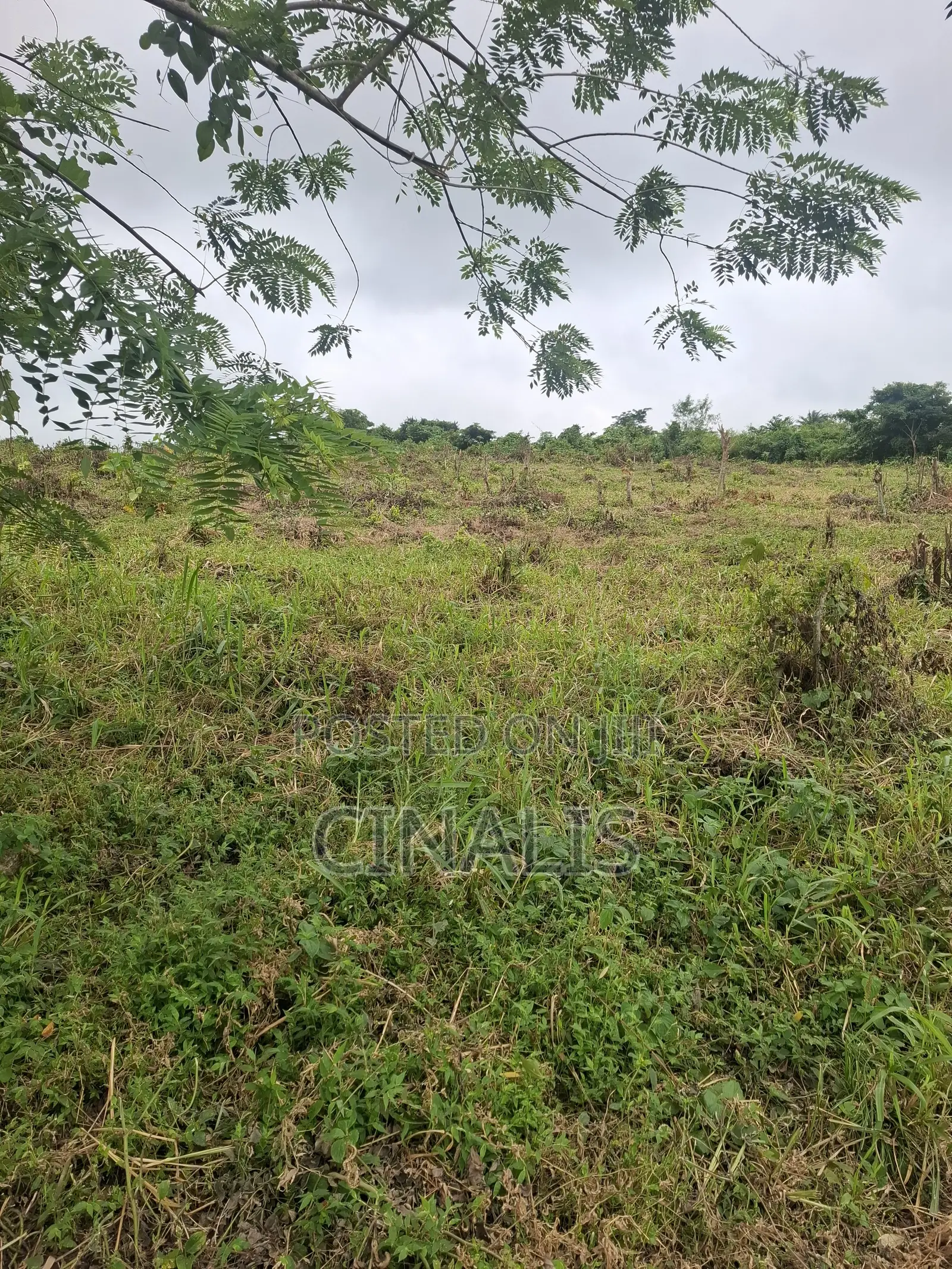 Residential Land With Survey and Deed
