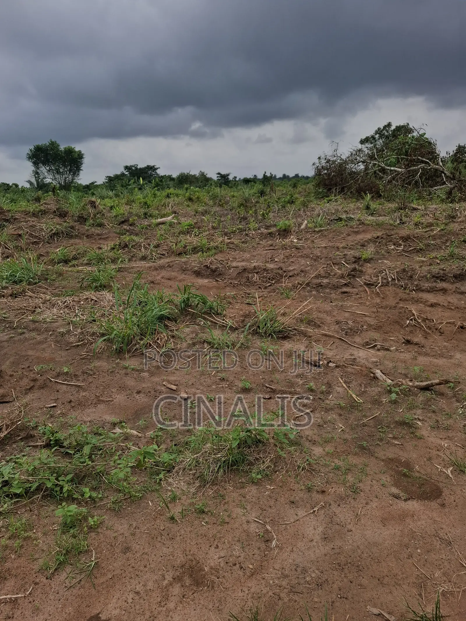 Residential Land With C of O