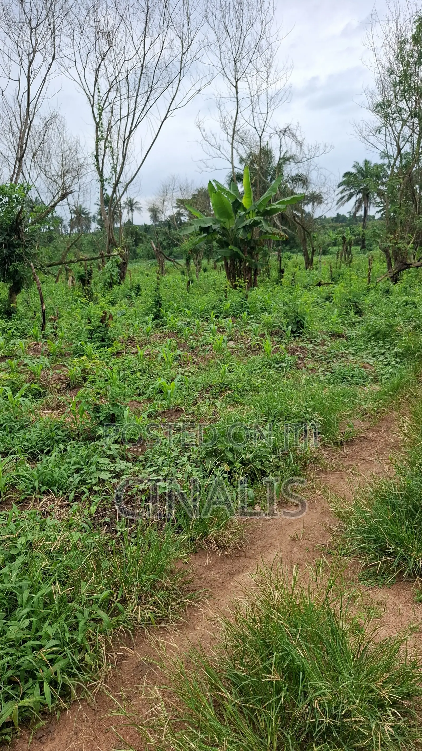 Residential Land With C of O