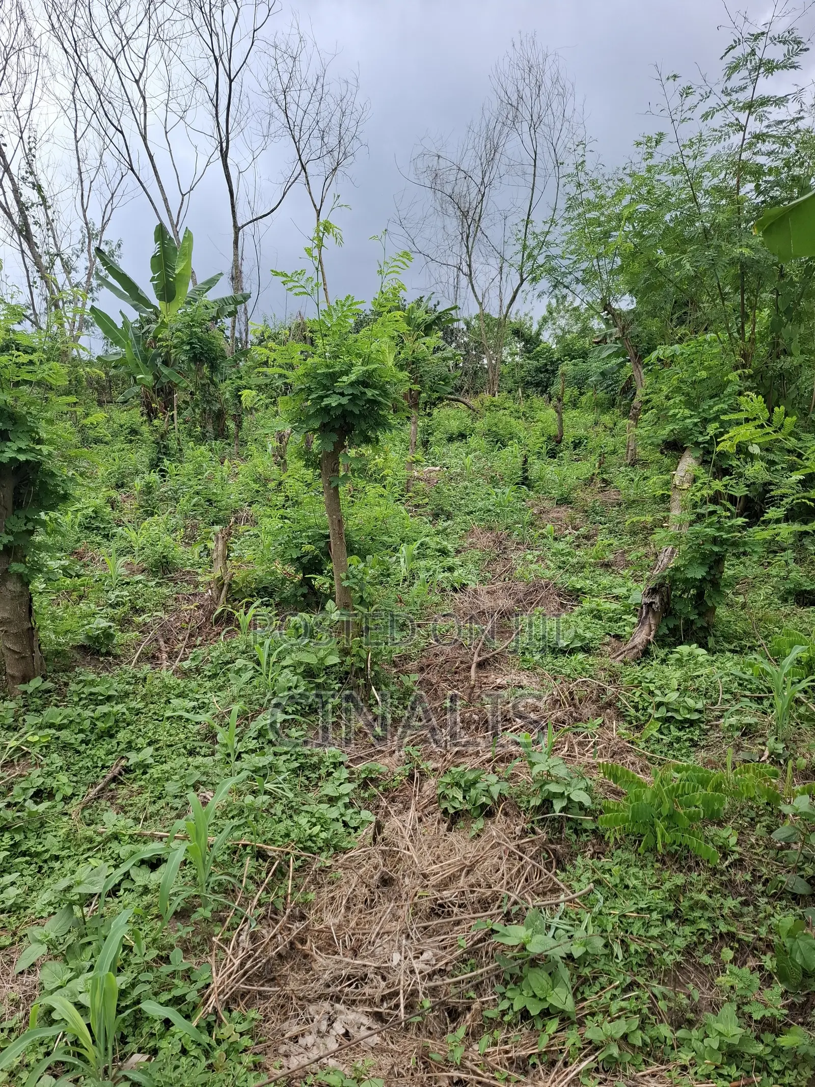 Residential Land With C of O