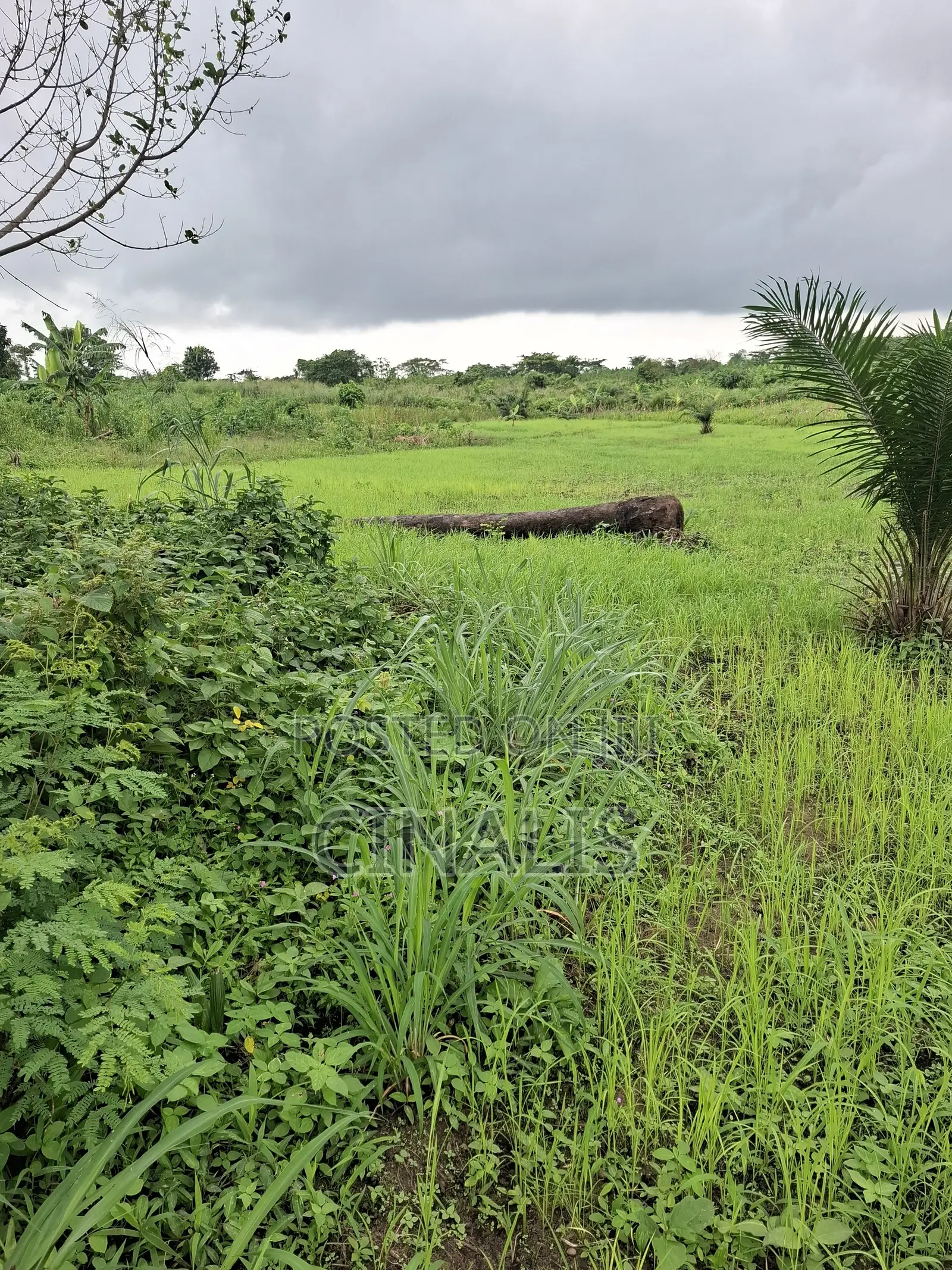 Residential Land With C of O