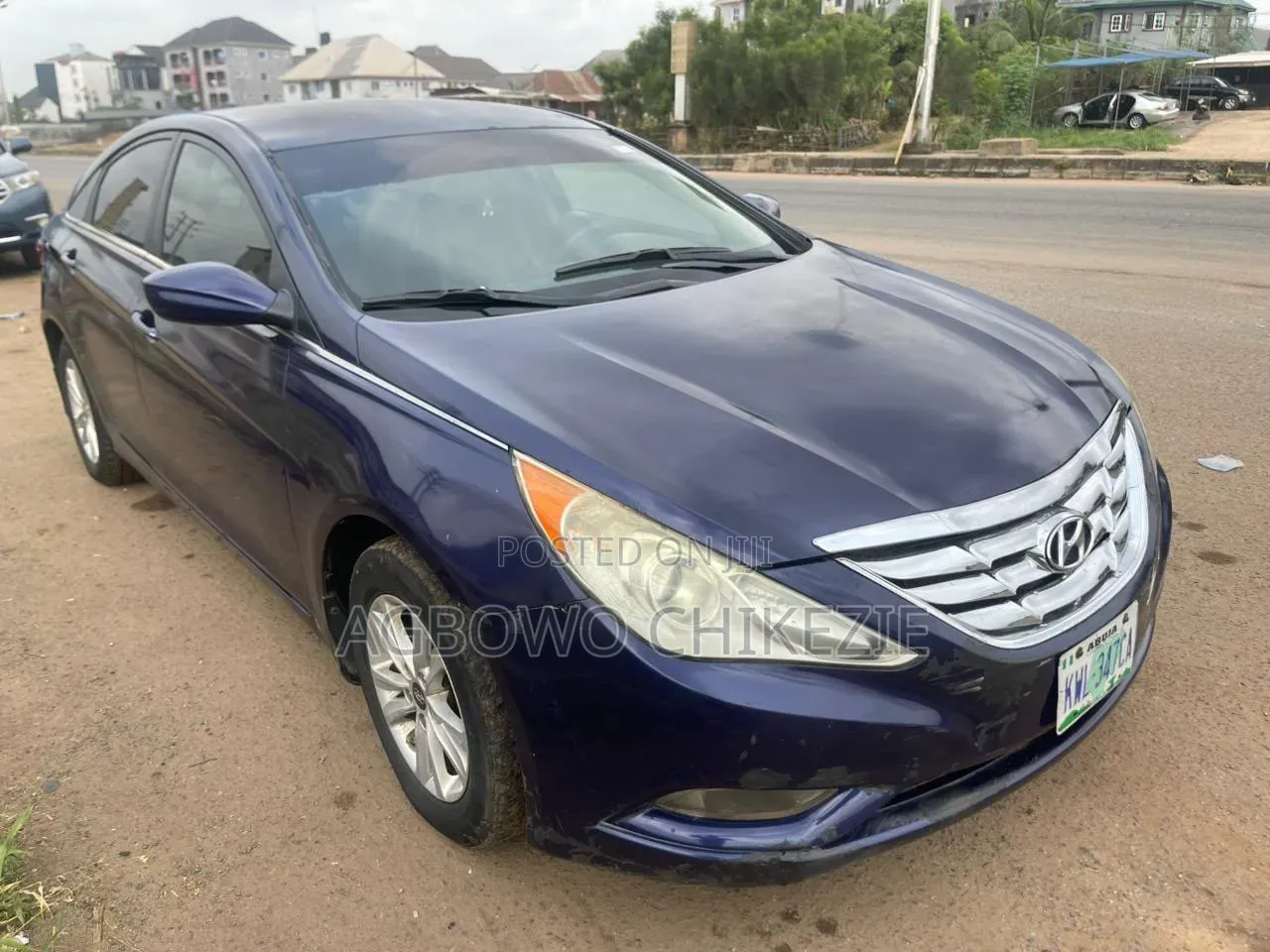 Hyundai Sonata 2010 Blue