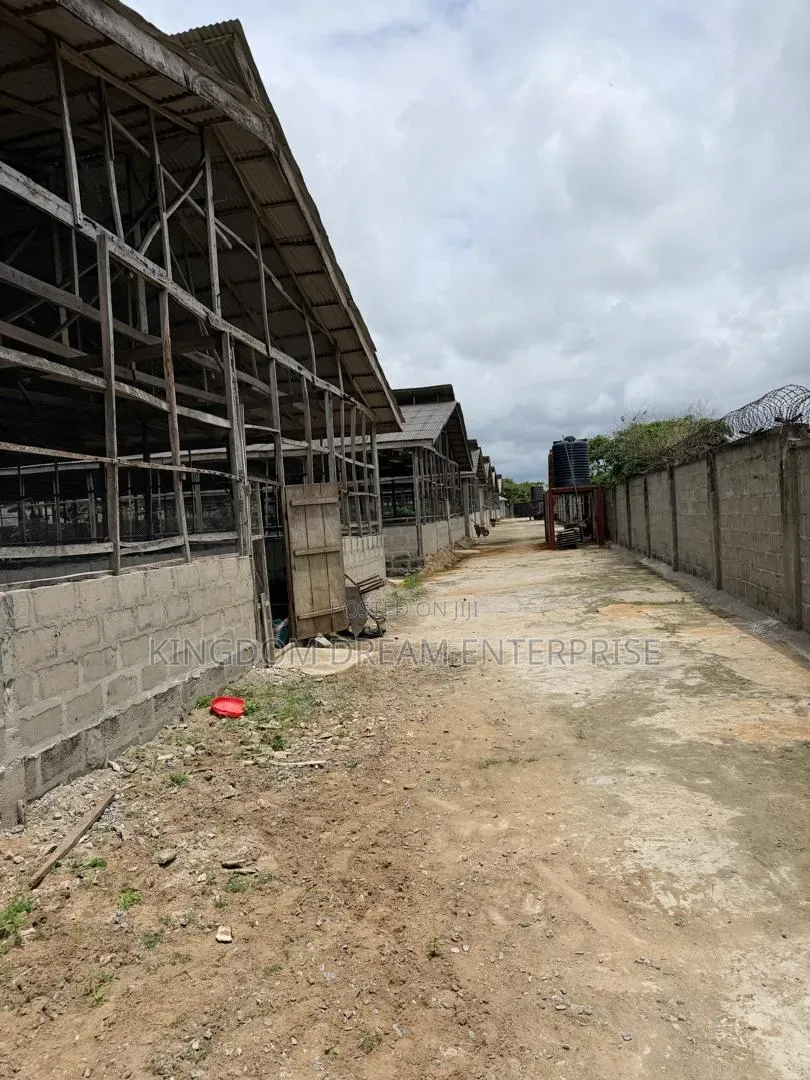 Poultry Farm Badagry Lagos State 500m