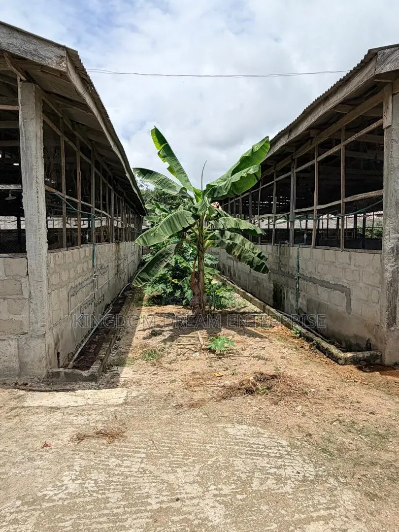 Poultry Farm Badagry Lagos State 500m