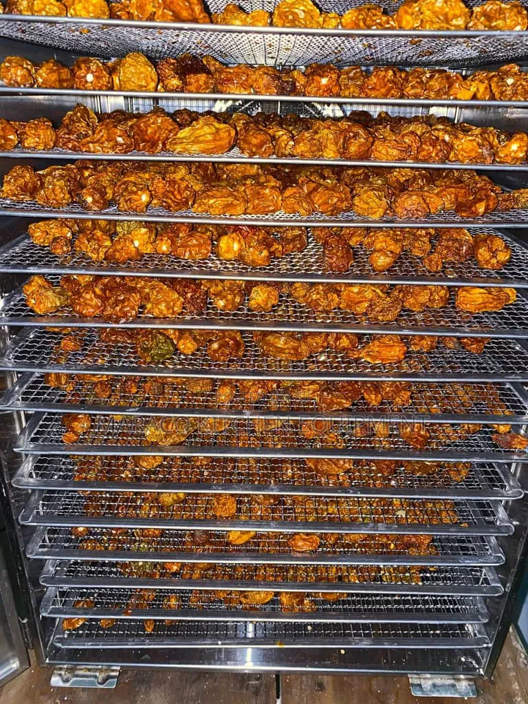 Food Dryer