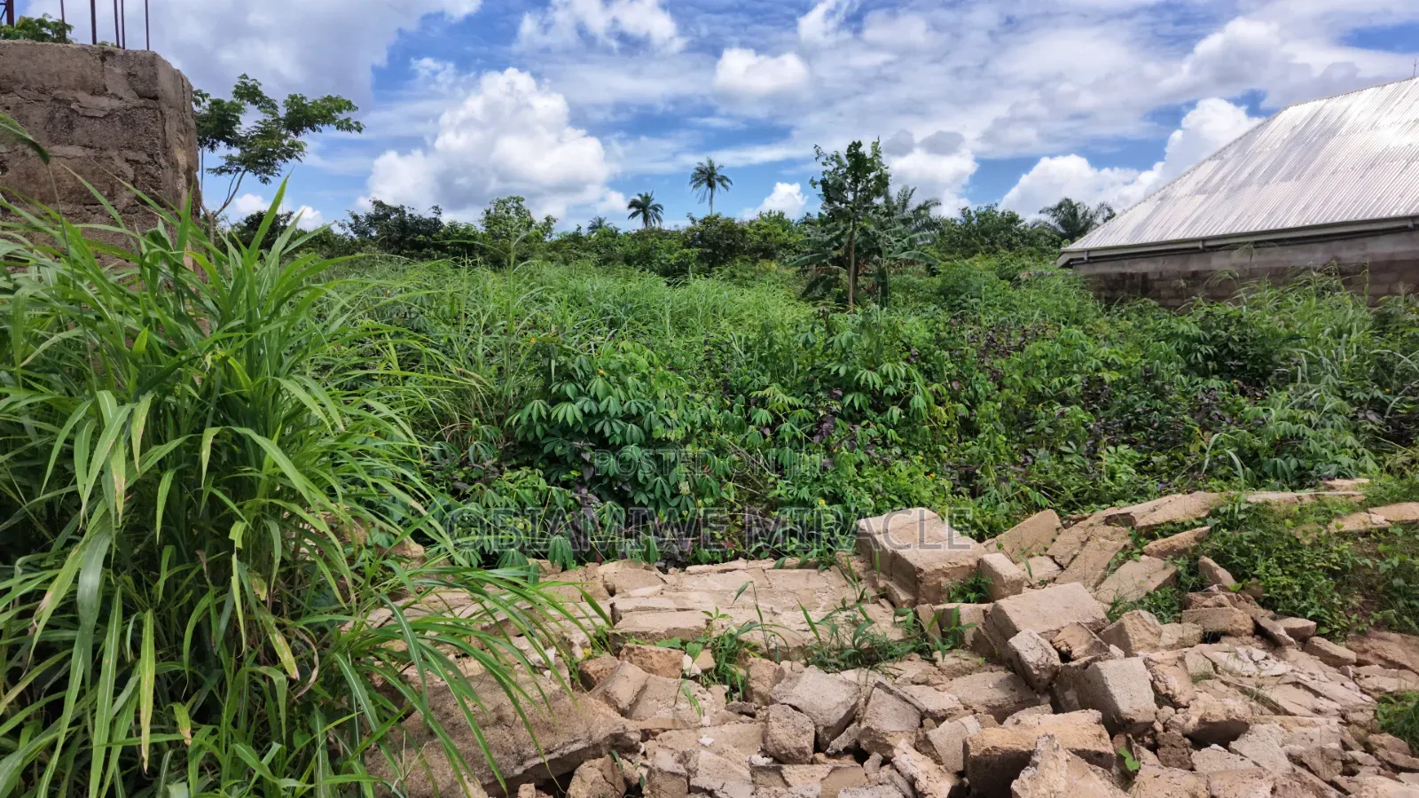 1 Plot of Land — Umuahia