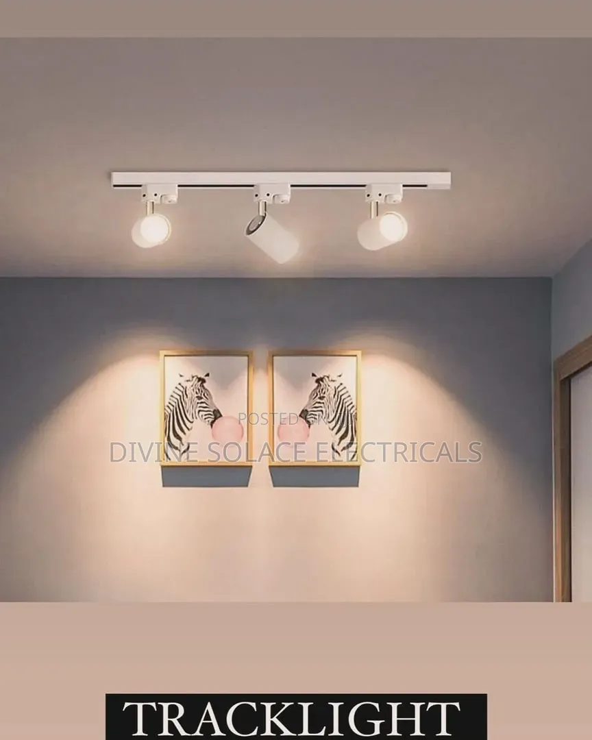 Track Light