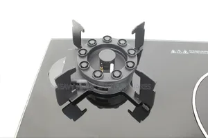 Hybrid Burner