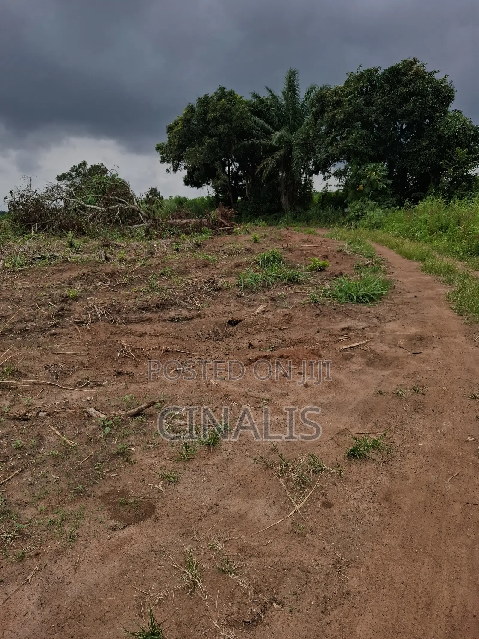 Affordable Plot of Land With C of O