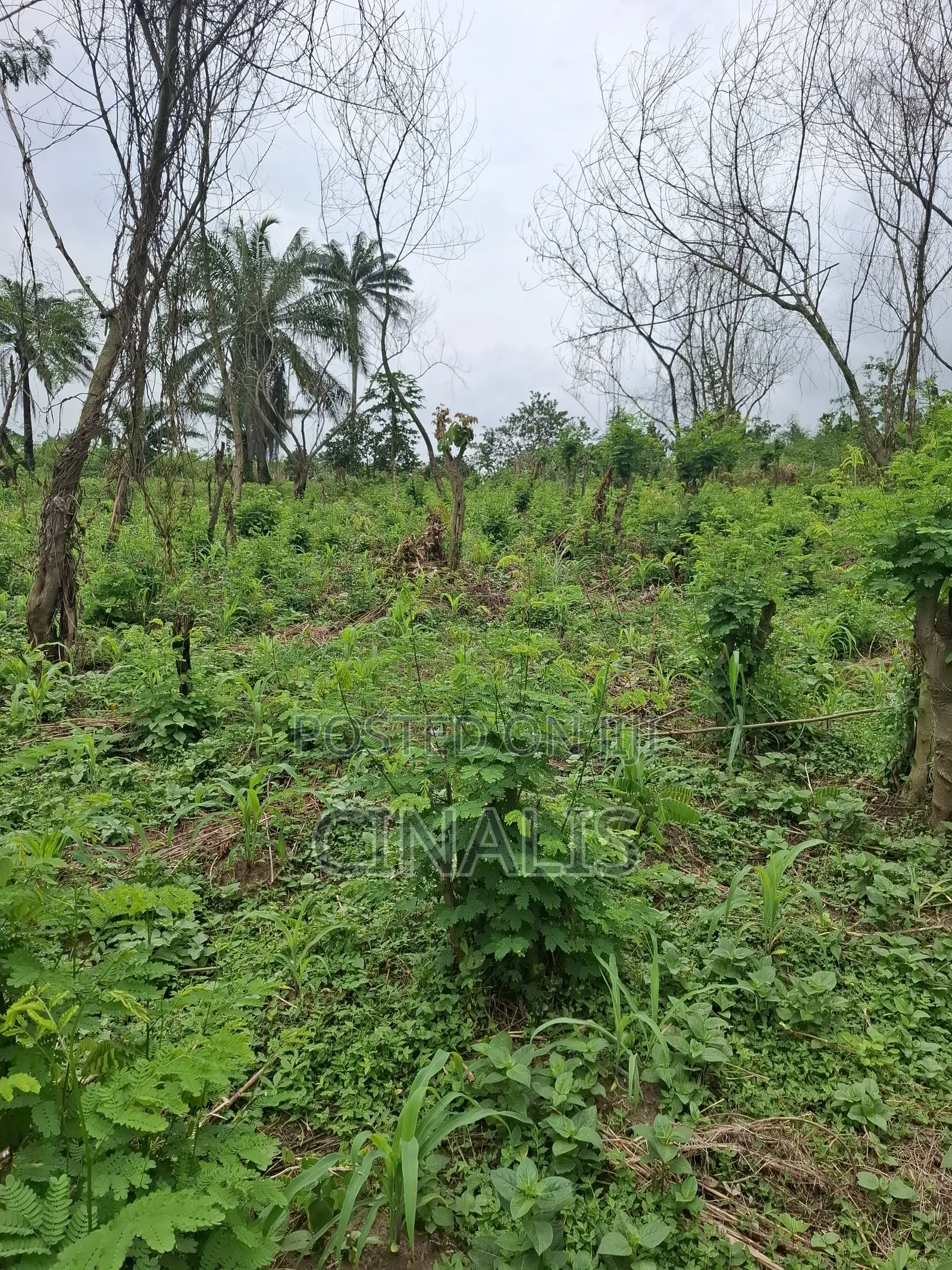 Affordable Plot of Land With C of O