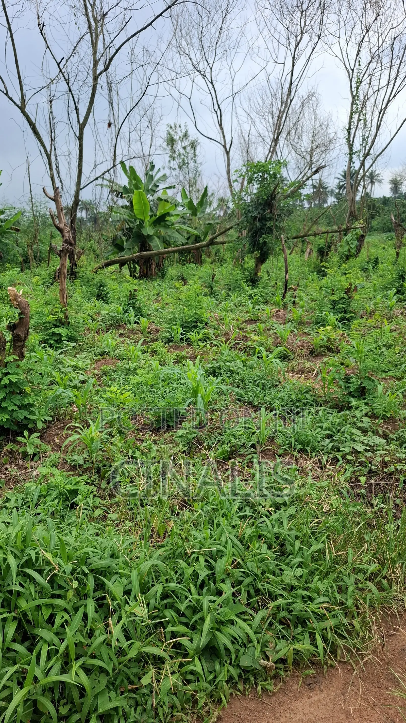 Affordable Plot of Land With C of O