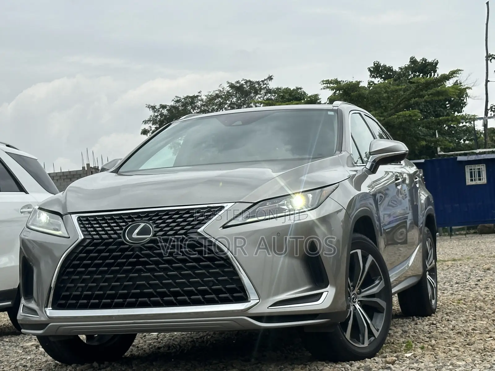 Lexus RX 2022 Gray