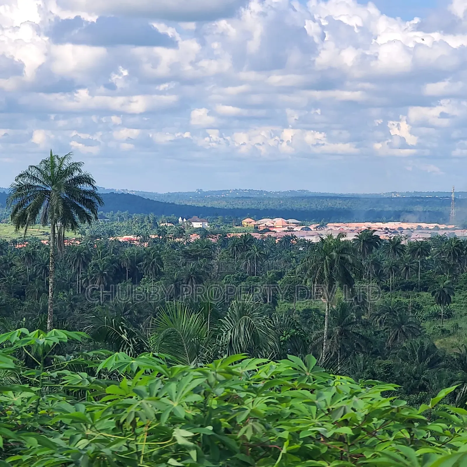 Plots of Land