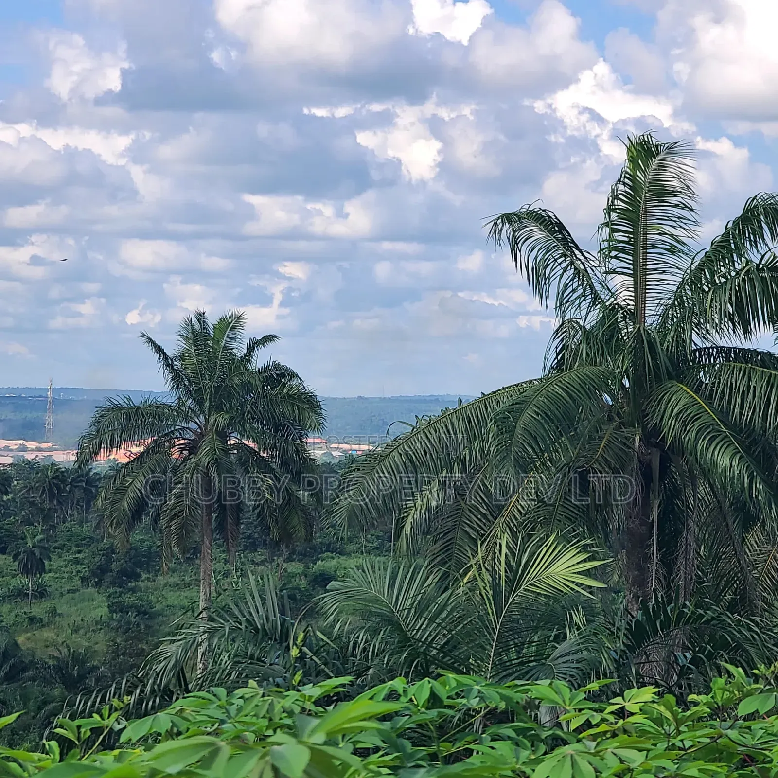 Plots of Land