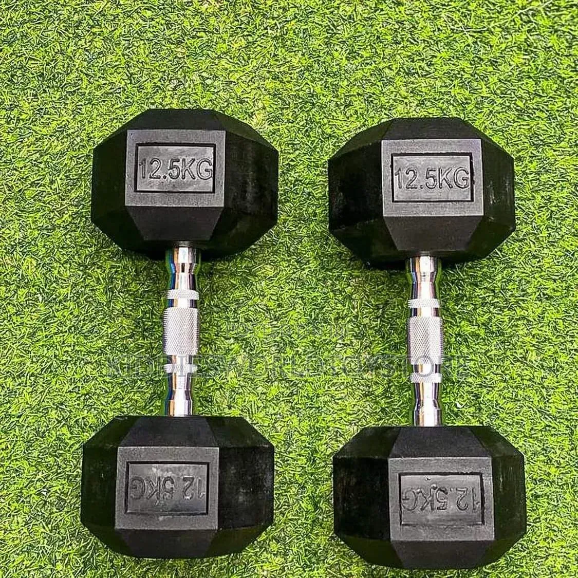 Dumbbells 12.5kg