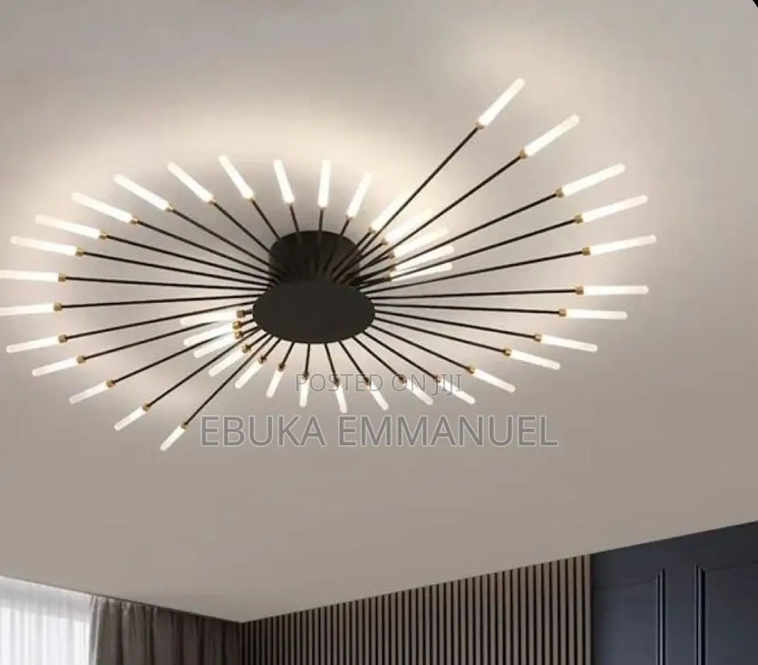 Dropping Light Pendants Light