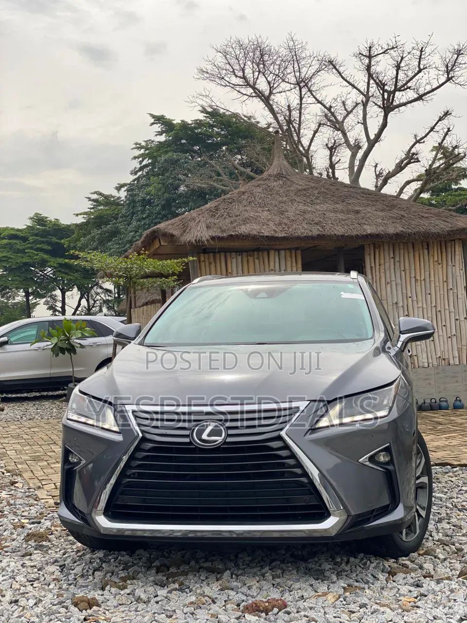 Lexus RX 2019 Gray