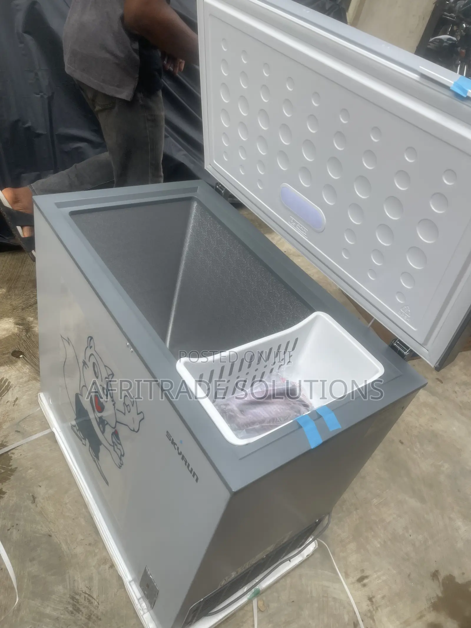 Skyrun BD-250AI Inverter Freezer – Space Meets Performance