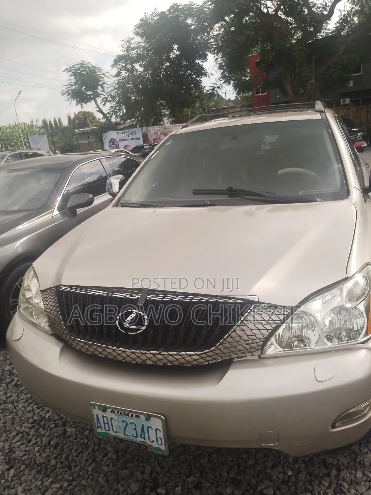 Lexus RX 2010 Brown