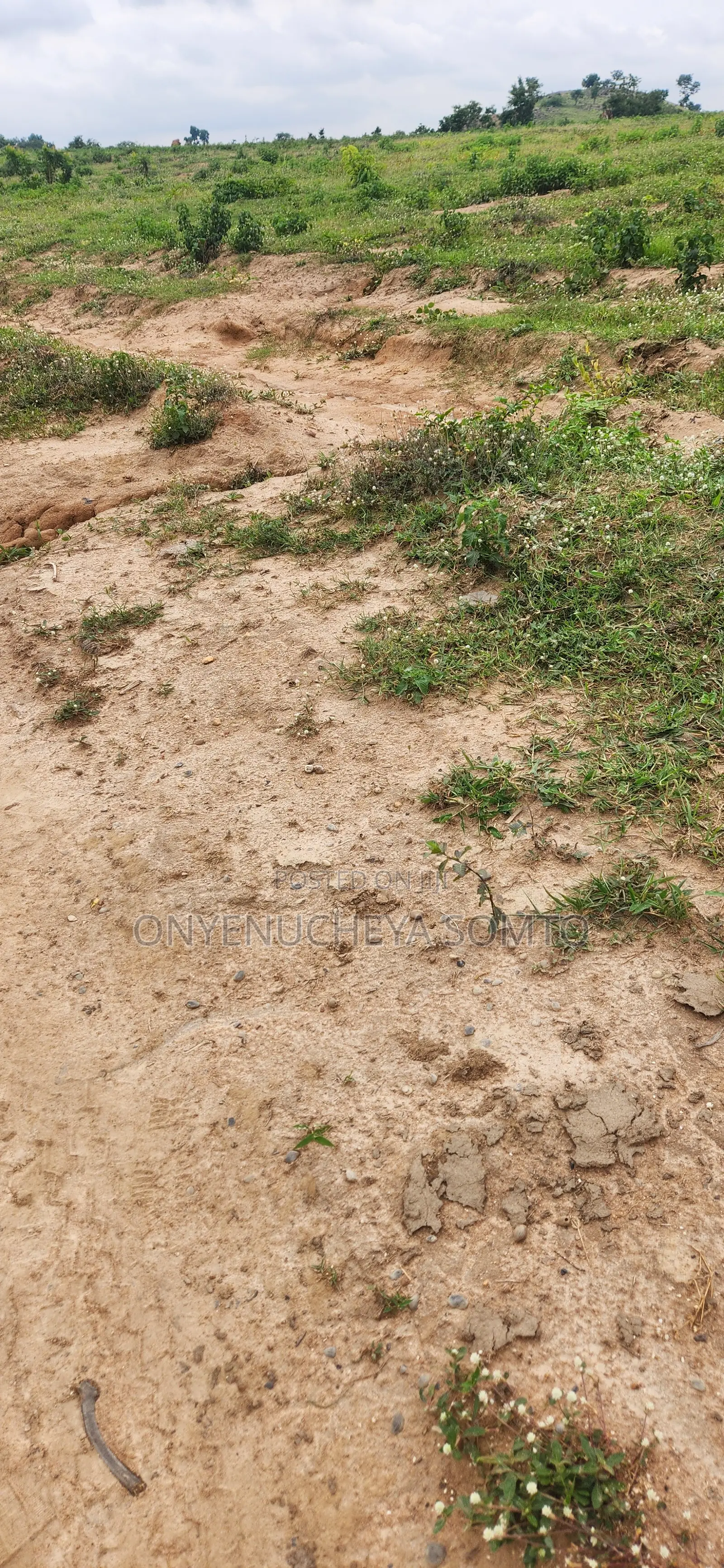 250SQM Estate Land With C of O Title Document