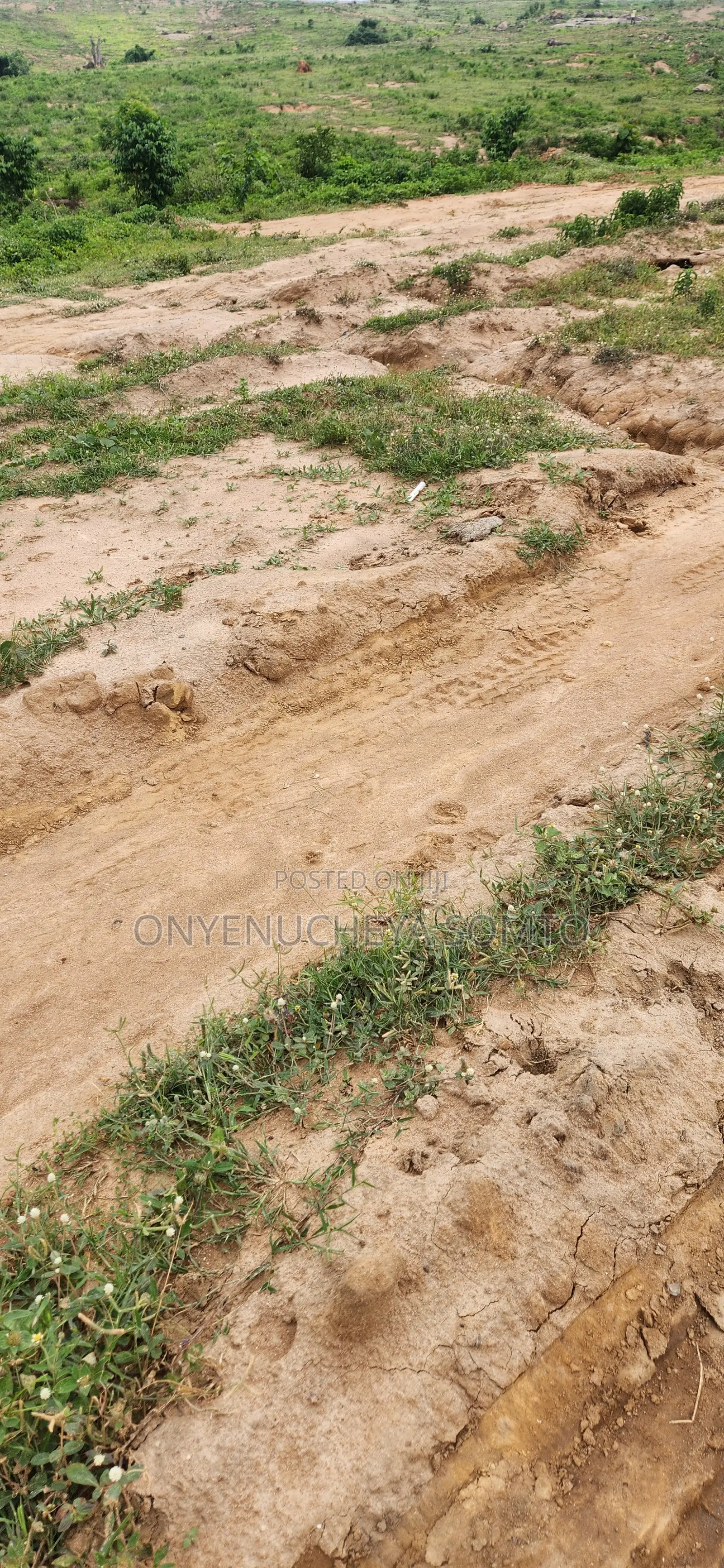 250SQM Estate Land With C of O Title Document
