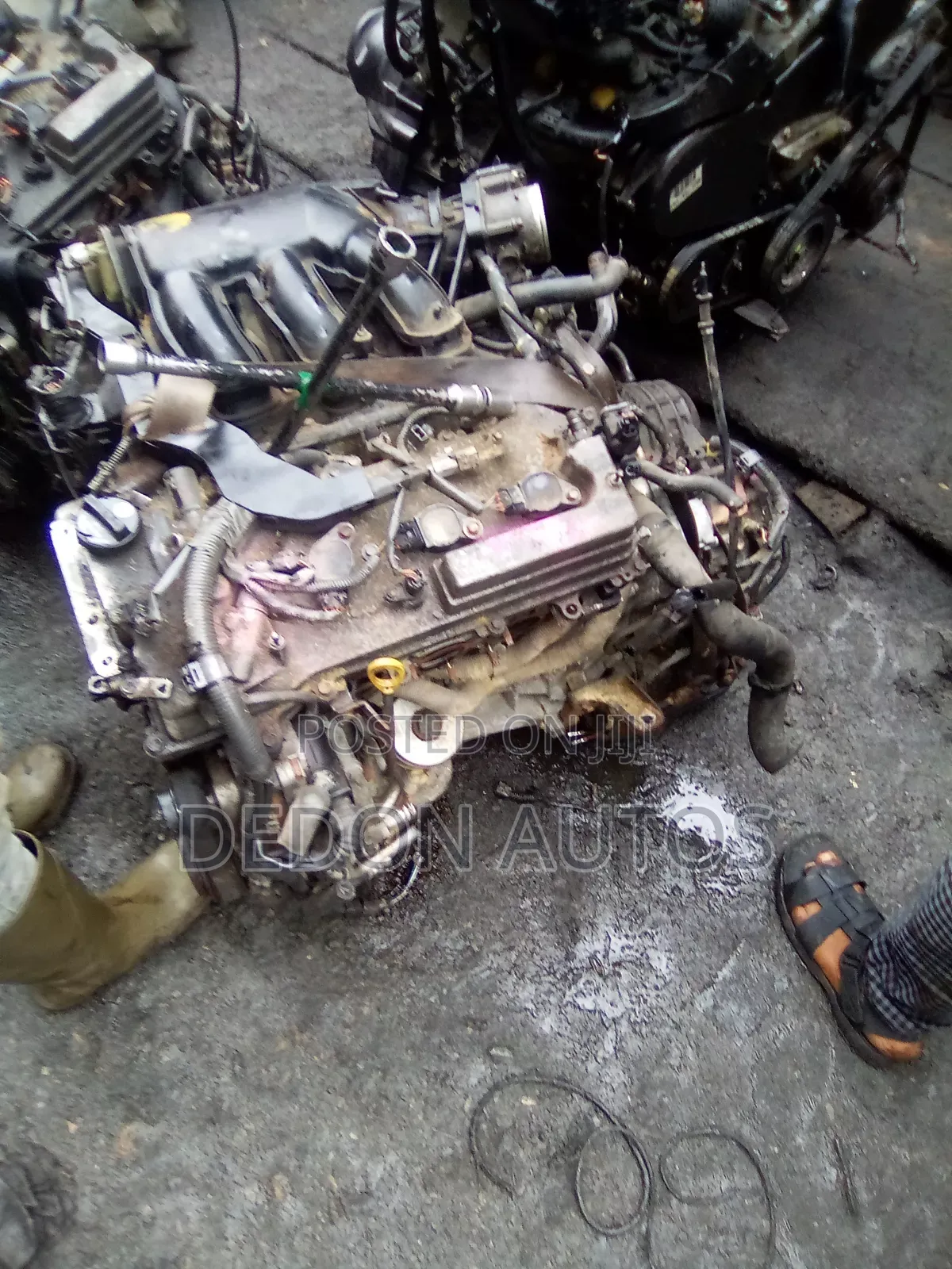 Lexus RX 330 Engine.