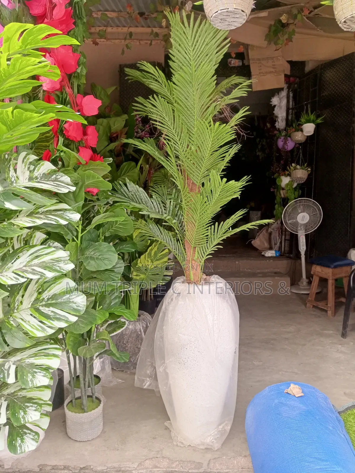 Flower and Vase