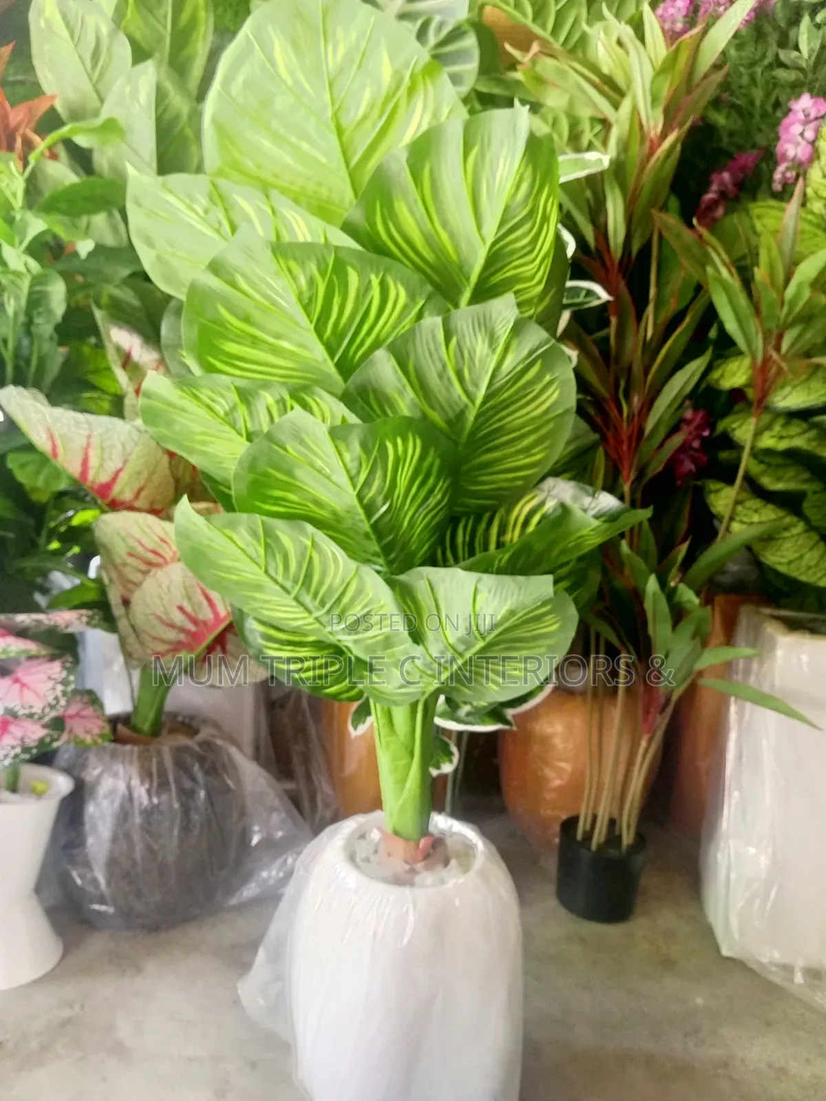 Artificial Plant and Vase