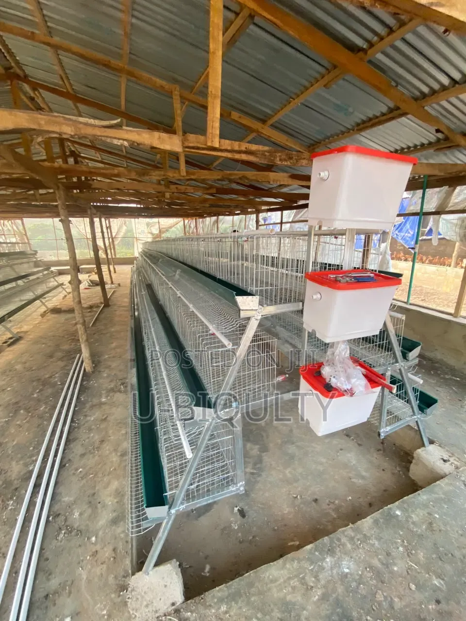 Battery Cage