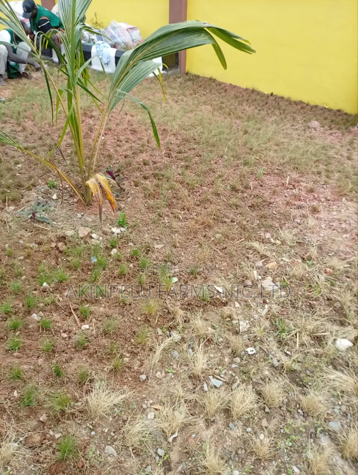 Landscaping Services