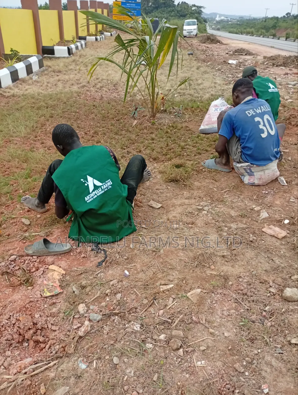 Landscaping Services