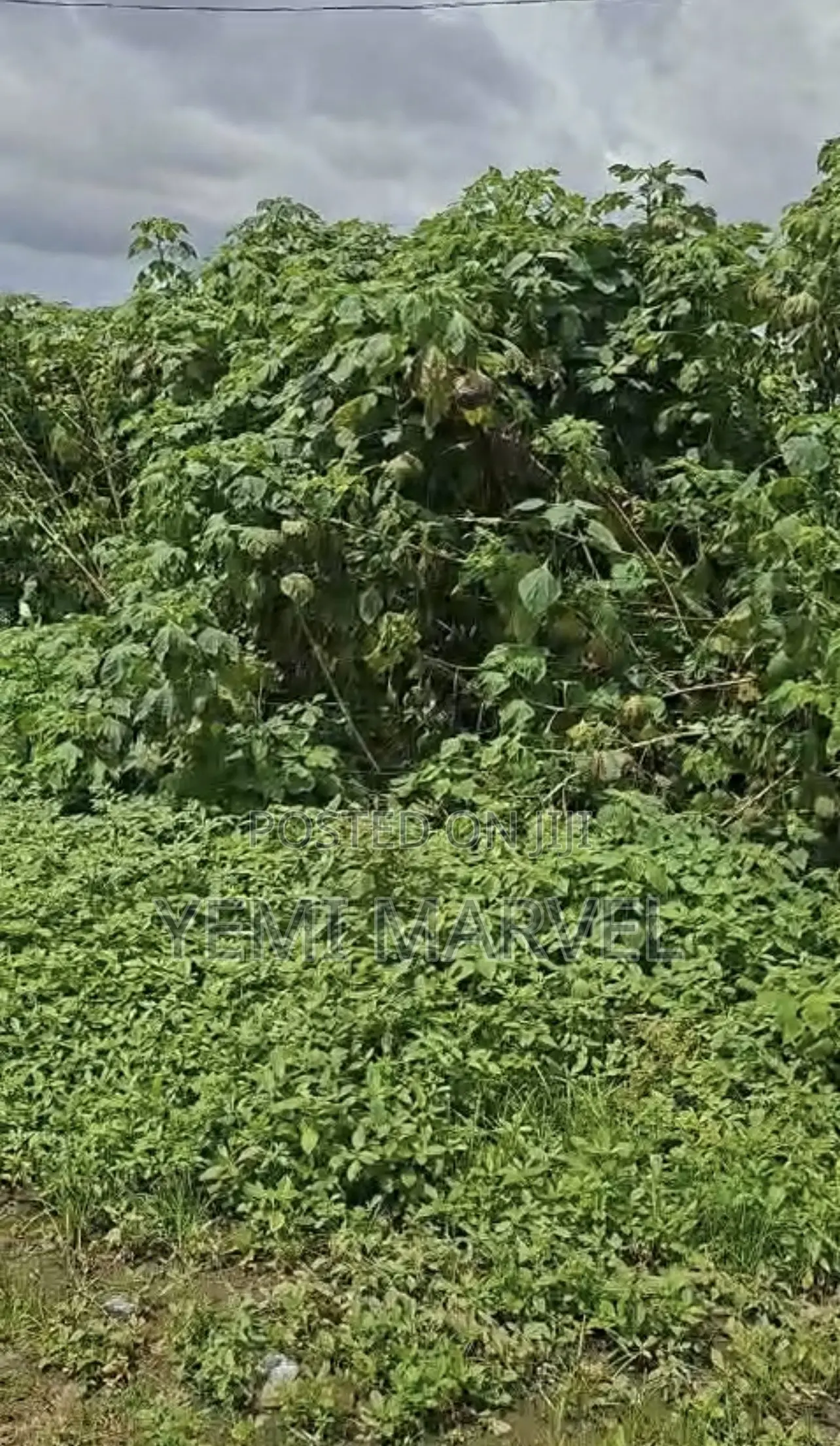 Residential Plot of Land at Asunle Area, Off Tipper Garage