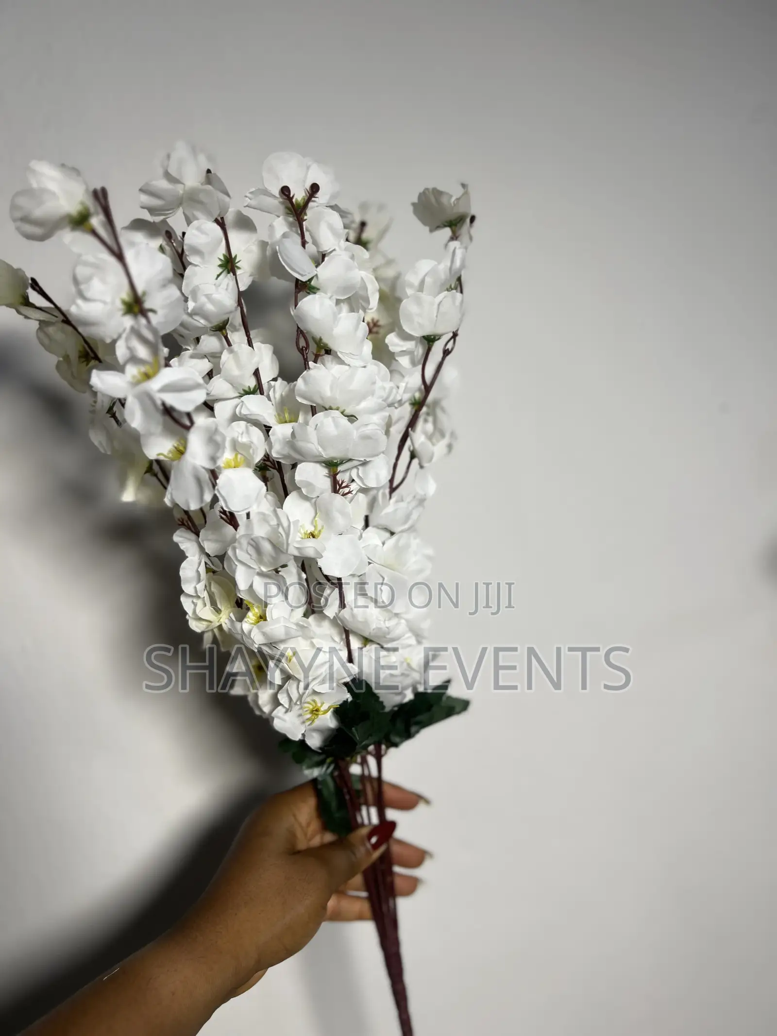 Cherry Blossoms Flowers Available for Rent in Different Colors