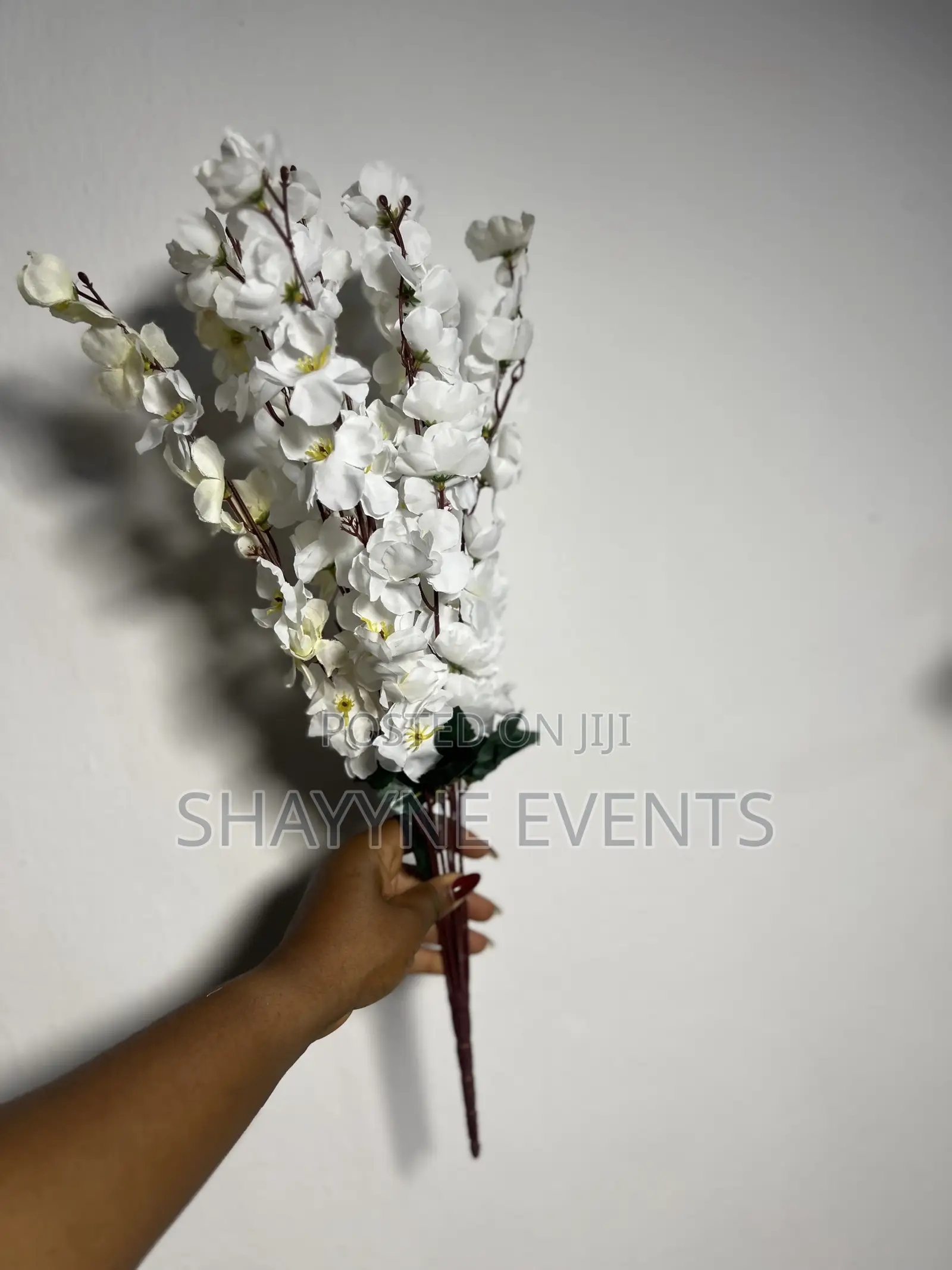 Cherry Blossoms Flowers Available for Rent in Different Colors