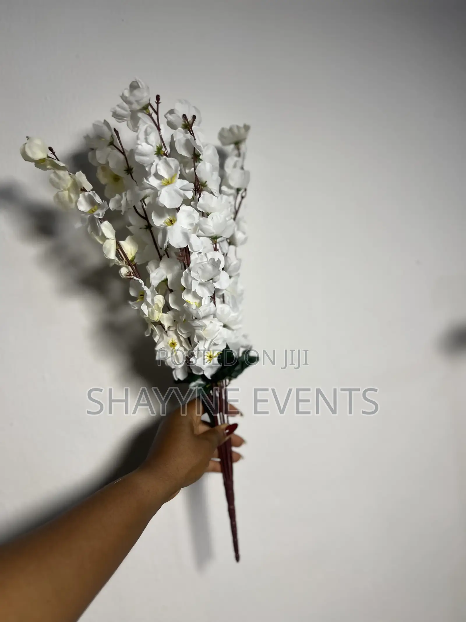 Cherry Blossoms Flowers Available for Rent in Different Colors