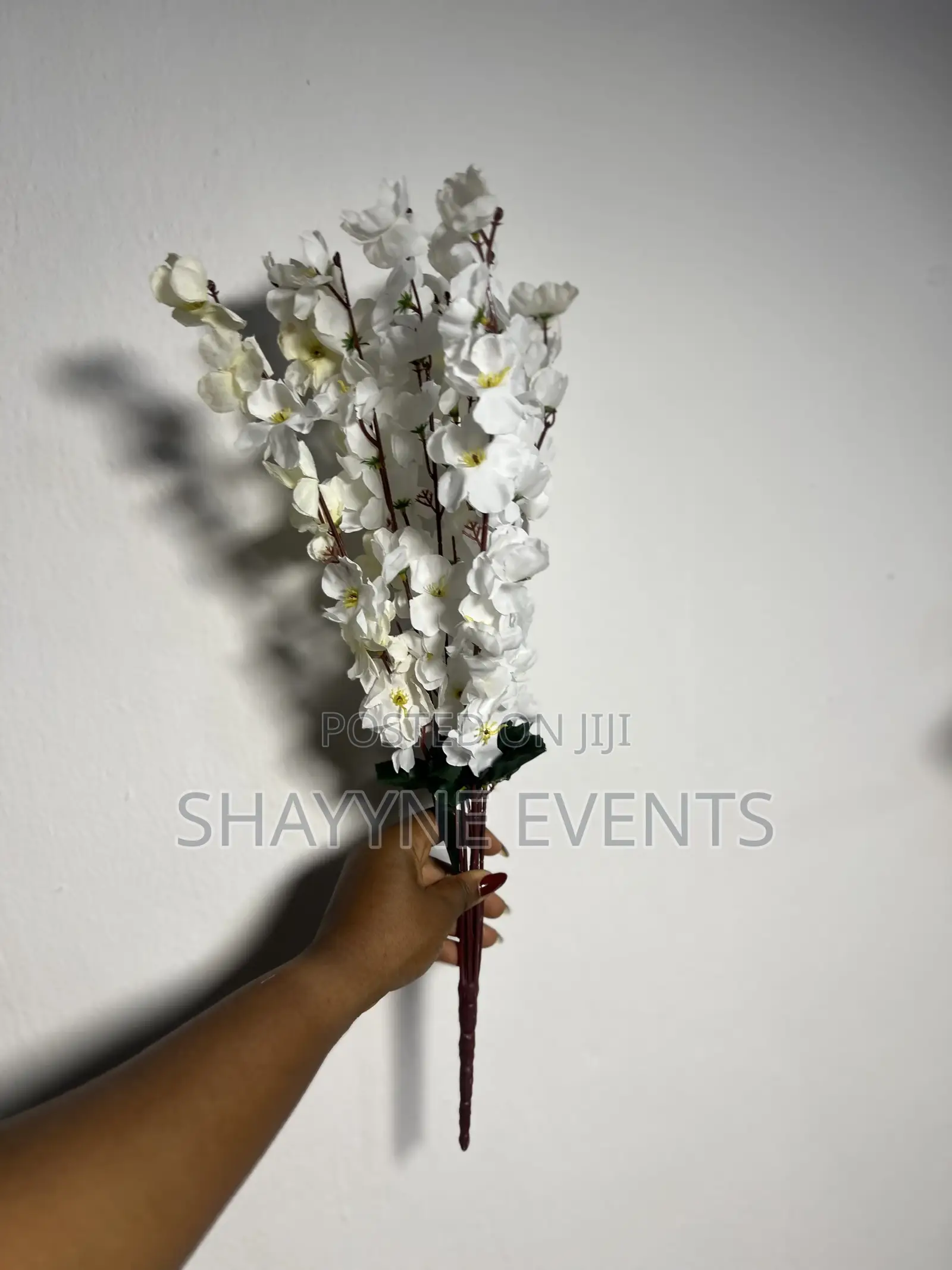 Cherry Blossoms Flowers Available for Rent in Different Colors