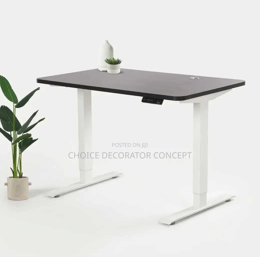 Electric Adjustable Height Standing Desk(Black and White)