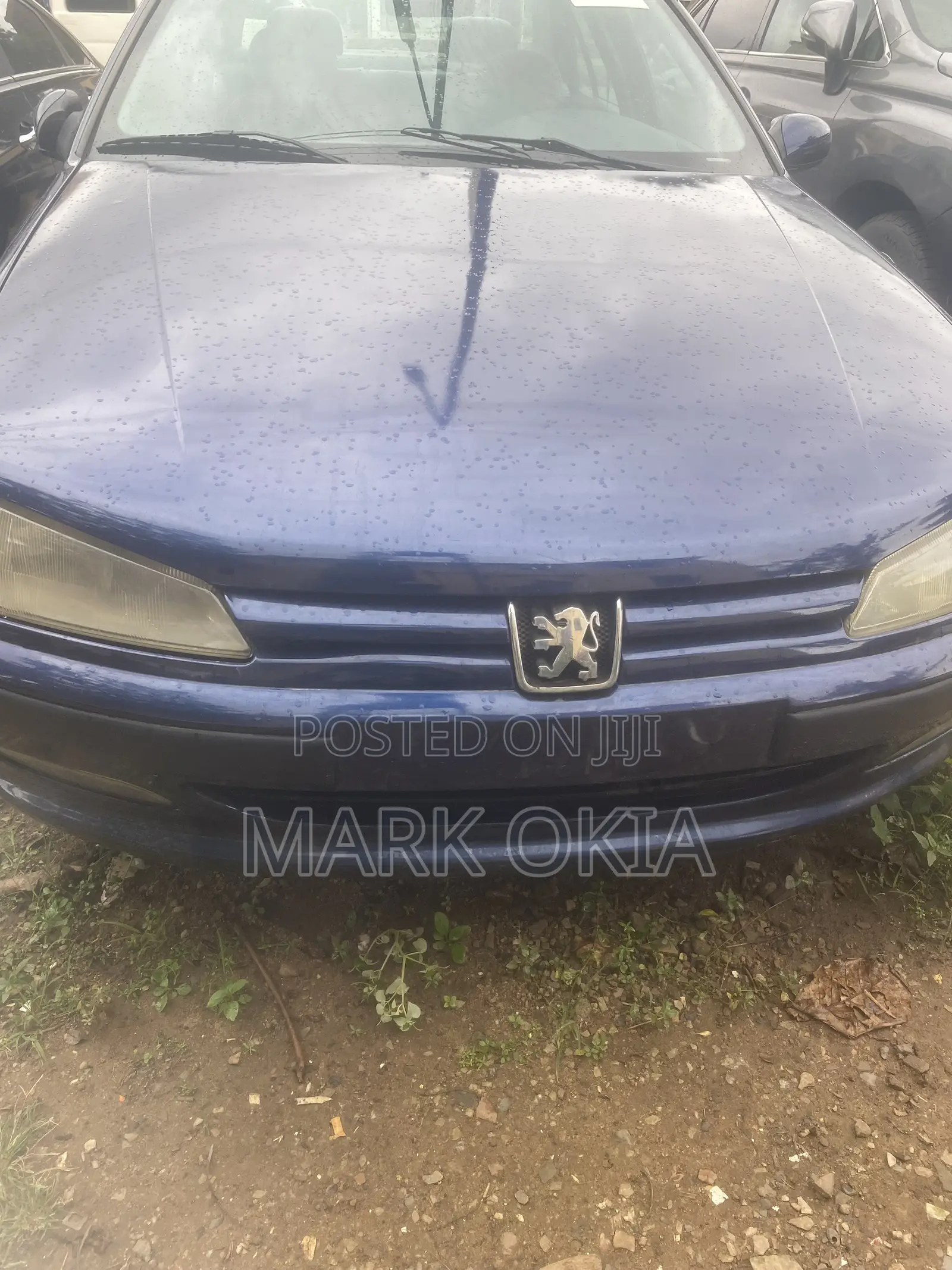 Peugeot 406 2005 Blue